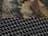 Mossy Oak Country DNA/ Black