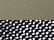 Loden Green/ Black