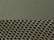Loden