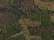 Green Camo