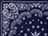 Navy Paisley