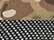 Multicam Green/ Black