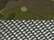 Multicam Tropic/ Green