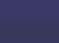 Navy/ Navy