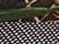 Realtree Max7/ Brown