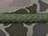 Marsh Duck Camo/ Olive Green