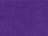 Campus Purple