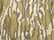 Original Bottomland