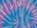 Spider Lavender Blue