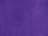 Sport Purple