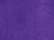Sport Purple