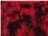 Crystal Red/ Black