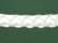 Forest Green/ White