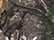 Realtree APX Camo